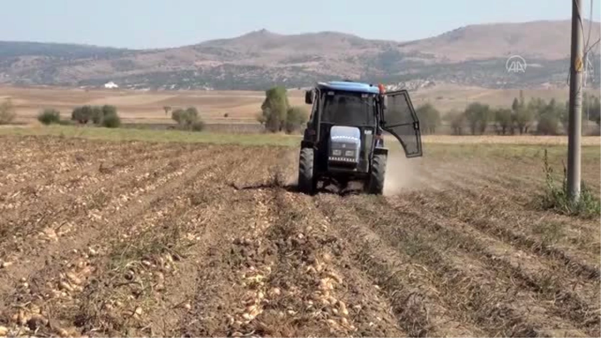 Kışlık patates fiyatı üreticinin yüzünü güldürüyor