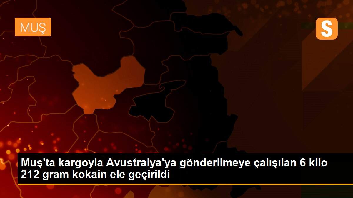 Muş\'ta kargoyla Avustralya\'ya gönderilmeye çalışılan 6 kilo 212 gram kokain ele geçirildi