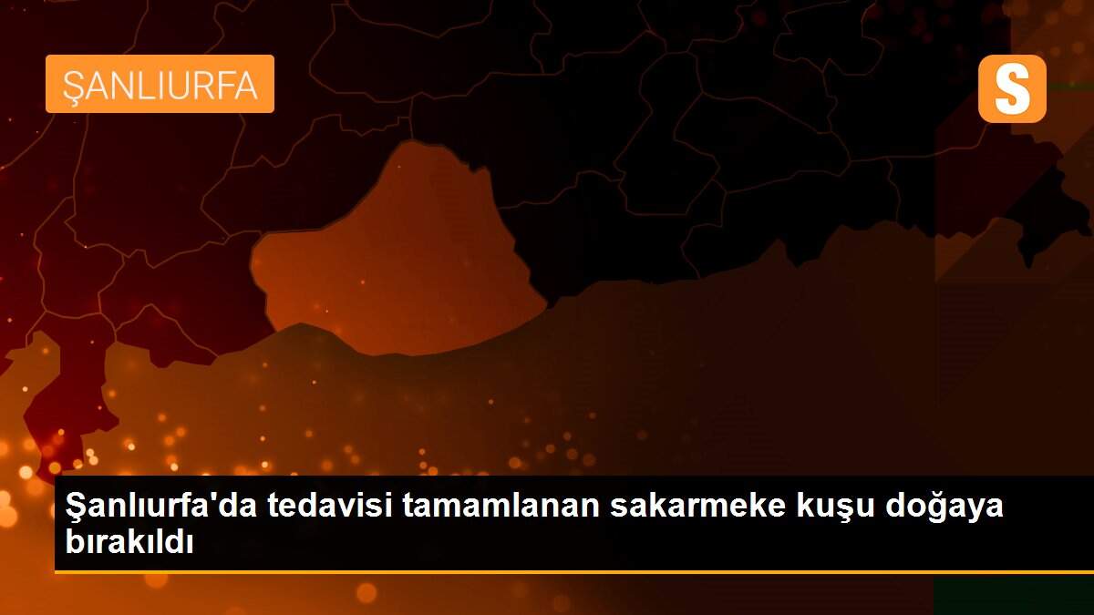 Şanlıurfa\'da tedavisi tamamlanan sakarmeke kuşu doğaya bırakıldı