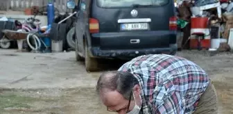 Sinop'ta silahla vurulan sokak köpeğinin bacağı kesildi (2)