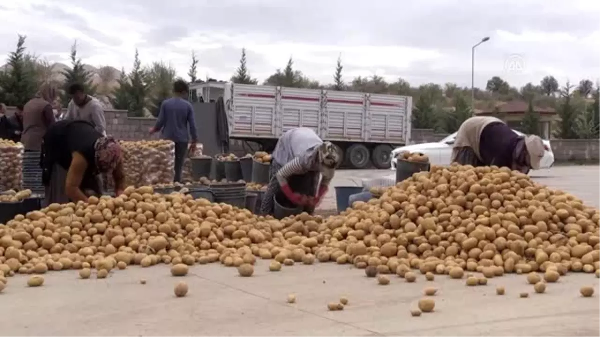 Türkiye\'nin patatesi, Kapadokya\'daki kayadan oyma depolarda muhafaza ediliyor