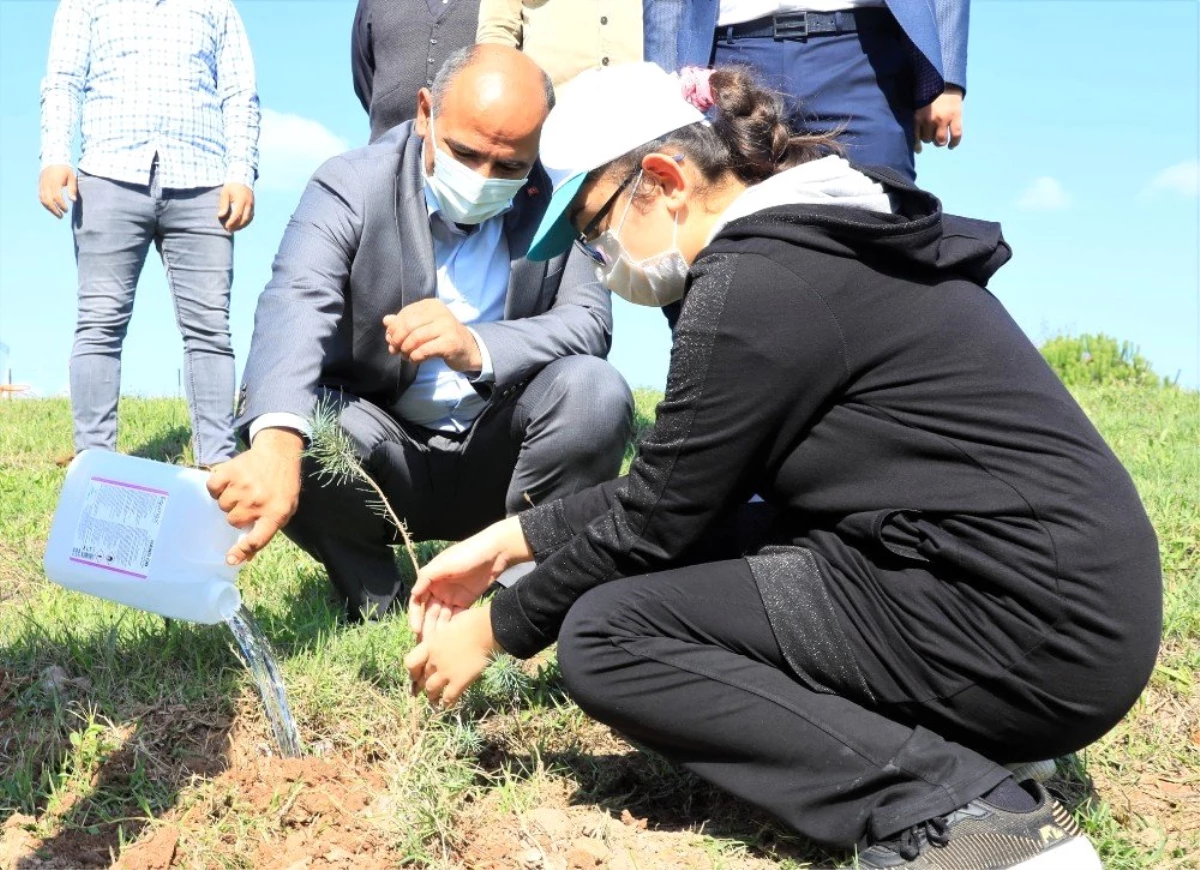 Başkan Söğüt: "Bugünün fidanları yarınların nefesi olacak"