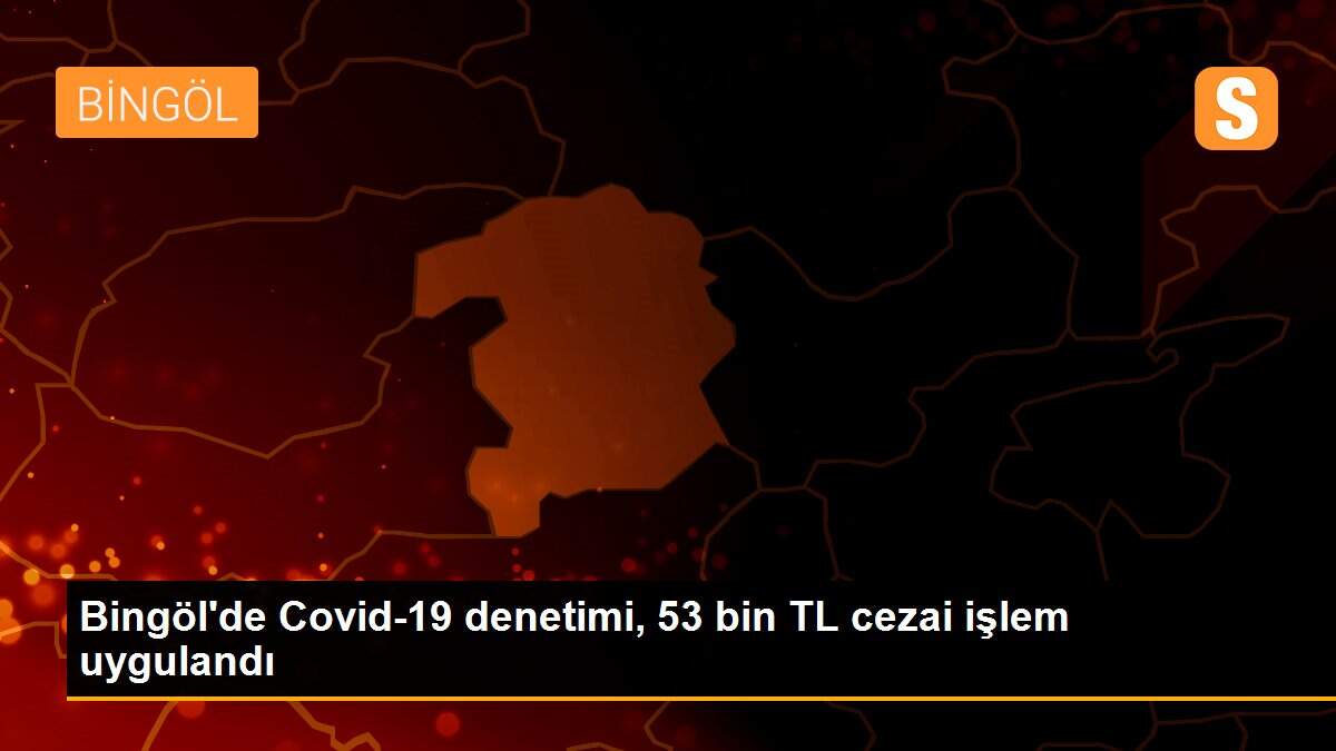 Bingöl\'de Covid-19 denetimi, 53 bin TL cezai işlem uygulandı