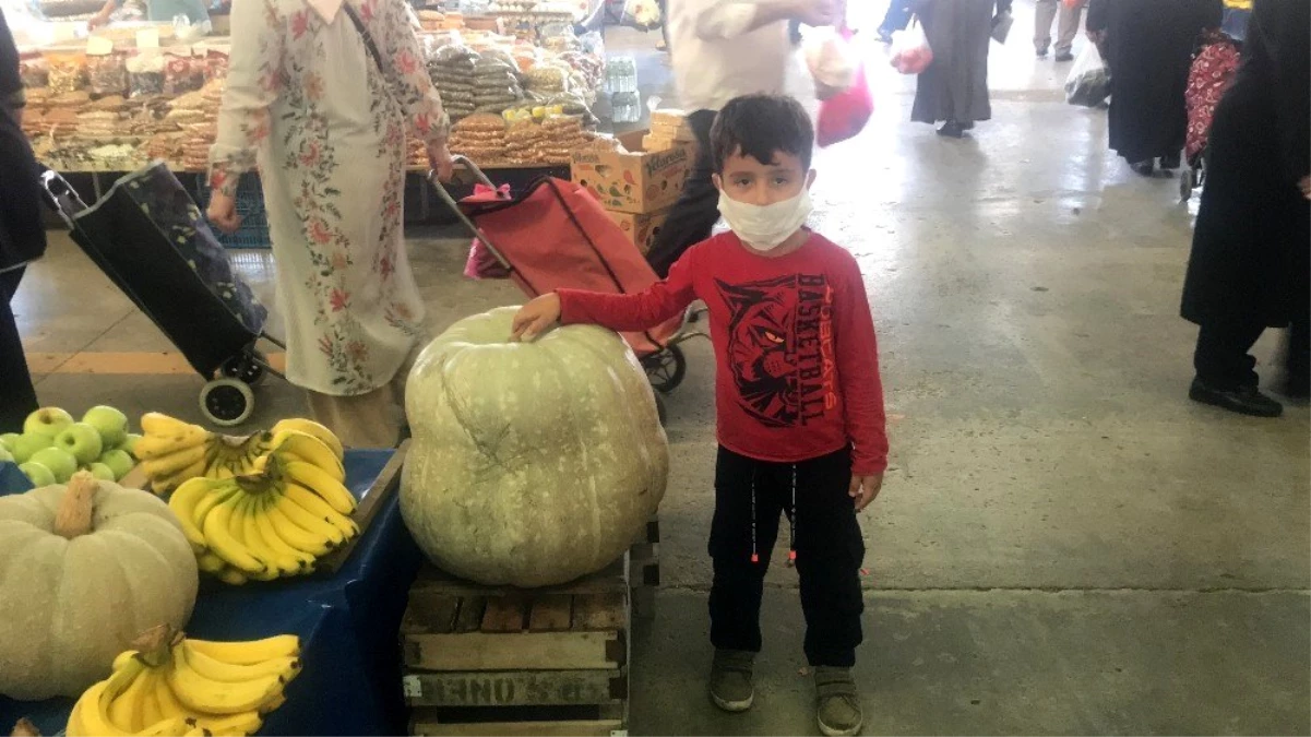 Çan pazarındaki 40 kiloluk kabak büyük ilgi gördü