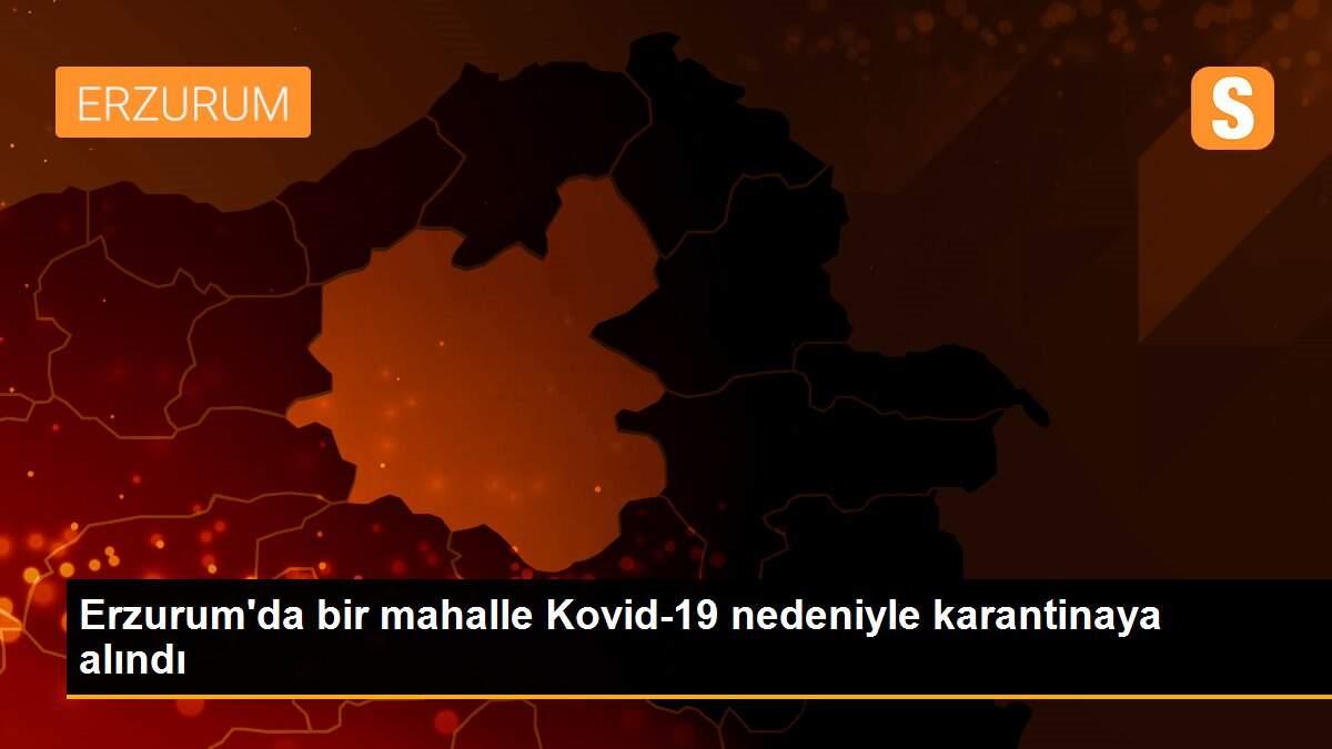 Erzurum\'da bir mahalle Kovid-19 nedeniyle karantinaya alındı