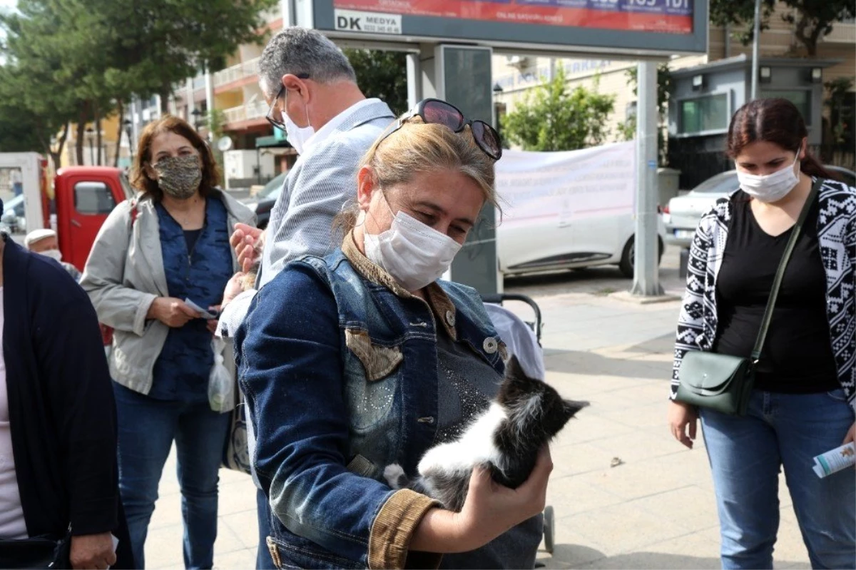 Gaziemir\'de sokak hayvanları yeni yuvalarına kavuştu