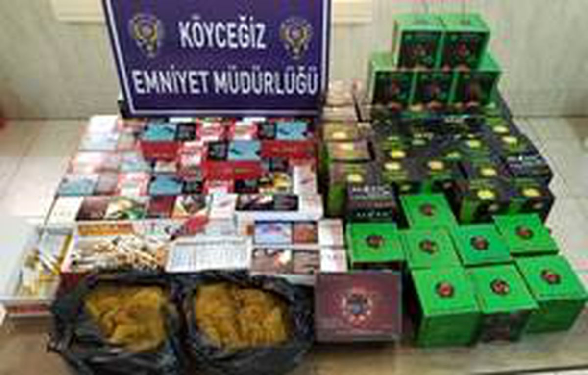 Köyceğiz\'de kaçak tütün operasyonu