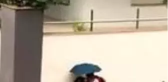 Şemsiyesiyle sokak köpeğini yağmurdan korudu