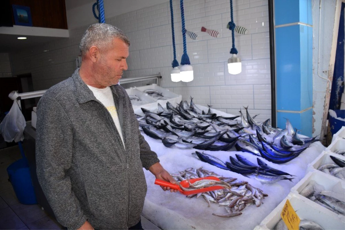 Sinop\'ta 3 günlük kötü hava balık fiyatlarını 3\'e katladı