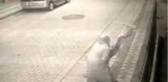 Şehit Esma Çevik'in babaevine asılan bayrağa saldıran kadın kameralara yakalandı