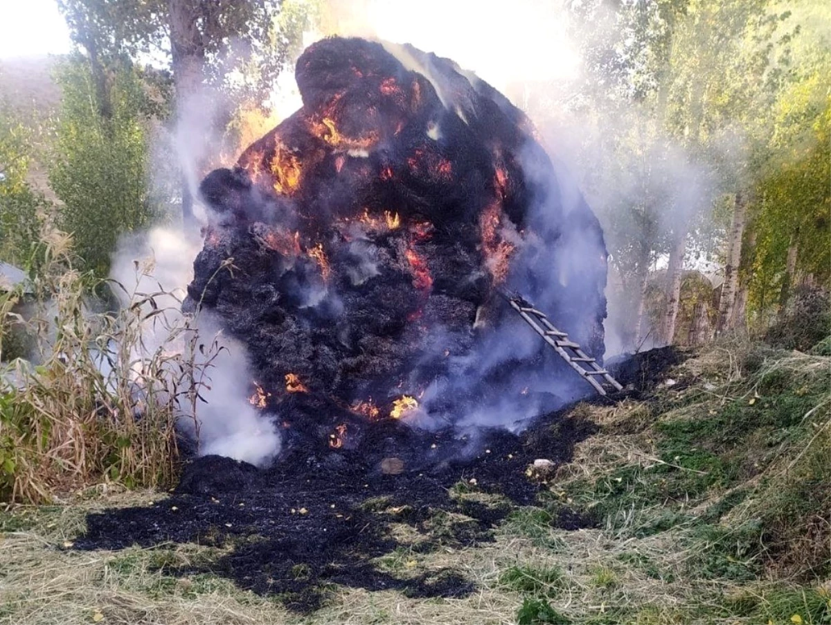 Yüksekova\'da 6 bin 500 bağ ot yandı
