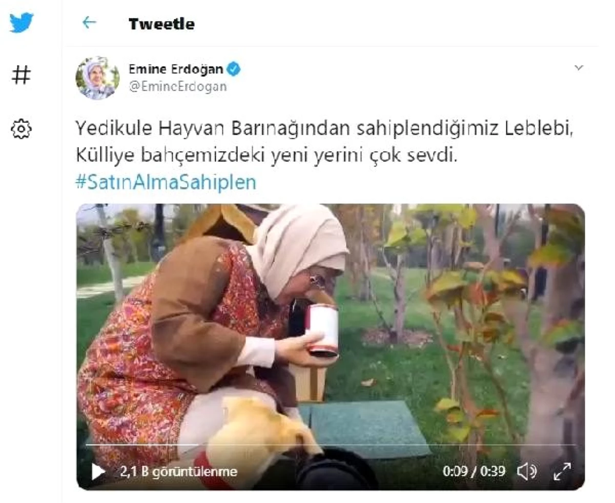 Son dakika... Emine Erdoğan\'ın sahiplendiği \'Leblebi\', Külliye bahçesinde