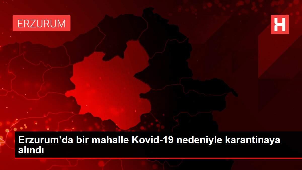 Erzurum'da iki mahalle Kovid-19 tedbirleri kapsamında karantinaya alındı