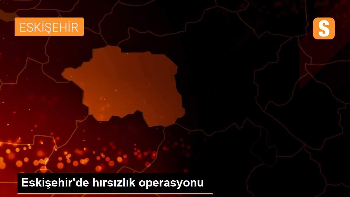 Son dakika haberi: Eskişehir\'de hırsızlık operasyonu