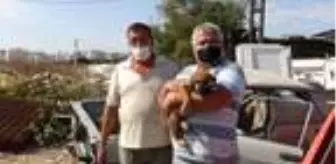 Hurda aracın altında sıkışan yavru köpeği esnaf kurtardı