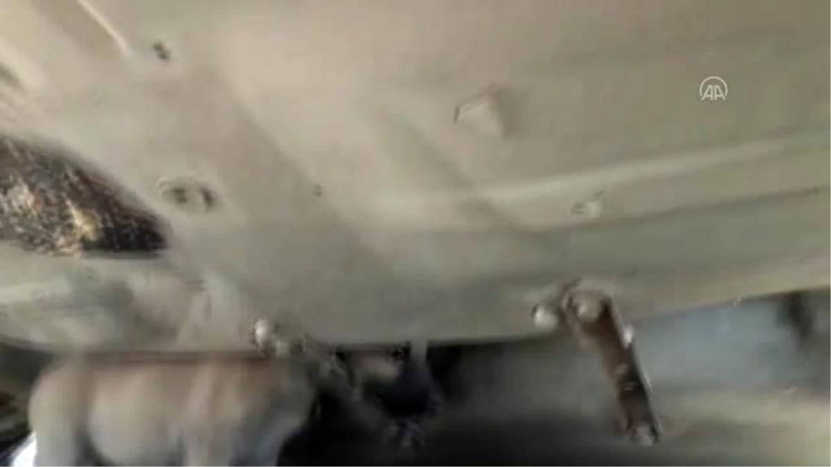 Hurda otomobilin altına sıkışan köpek yavrusunu esnaf kurtardı
