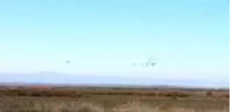 Mavi kuyruklu bülbül, Türkiye'de 4'üncü kez görüldü