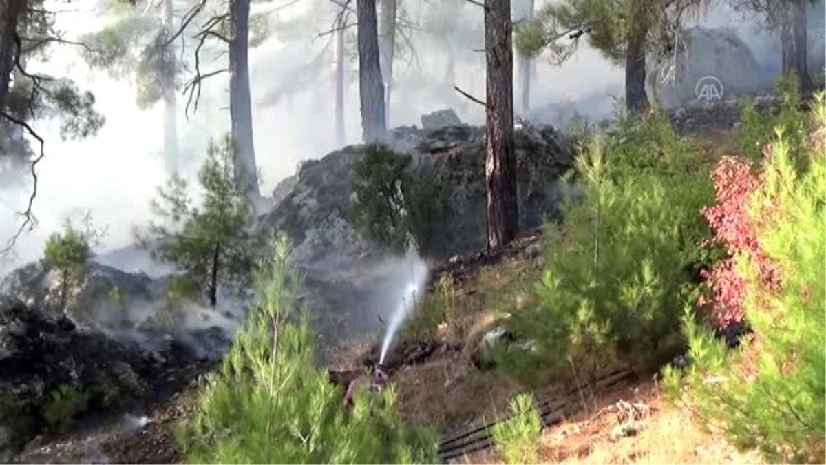 Mersin\'de çıkan yangında 1,5 hektar ormanlık alan zarar gördü