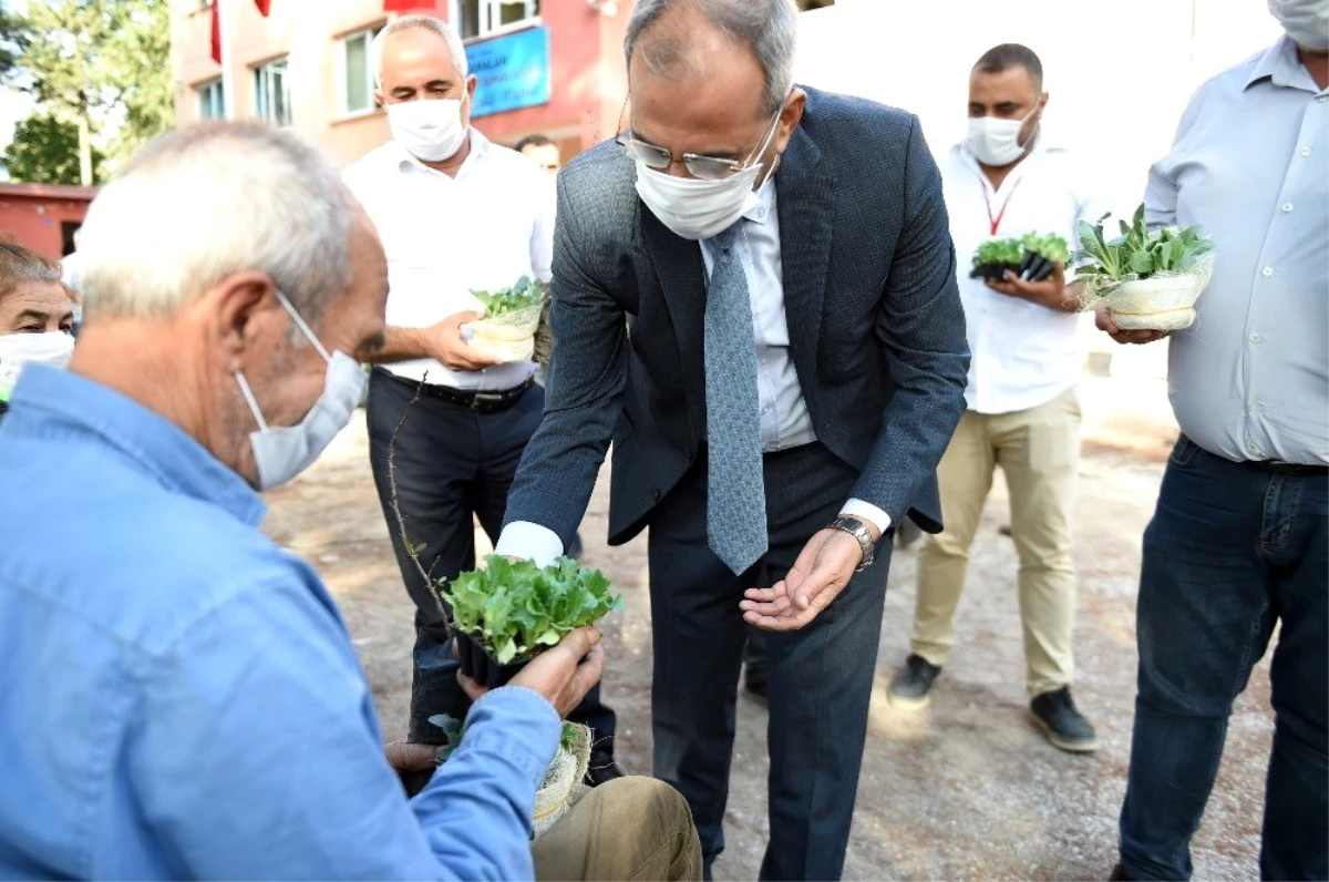 Tarsus Belediyesi Gen Bankası\'nda ata tohum sayısı 20 milyona ulaştı