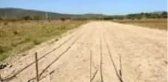 Urla'da salep yumruları toprakla buluştu