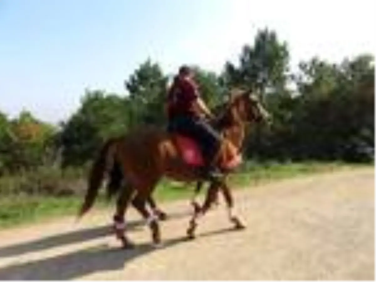 Son dakika haber | Atlı polisler Çavuşbaşı Ormanı\'nda denetim yaptı