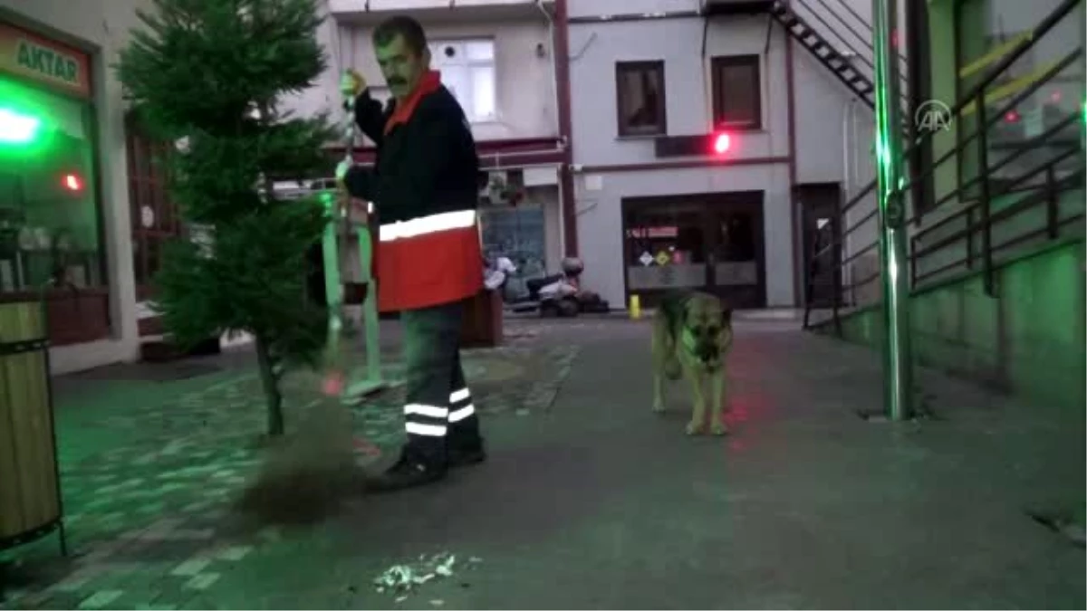 Bekçi köpeği, belediye temizlik işçisinin can dostu oldu