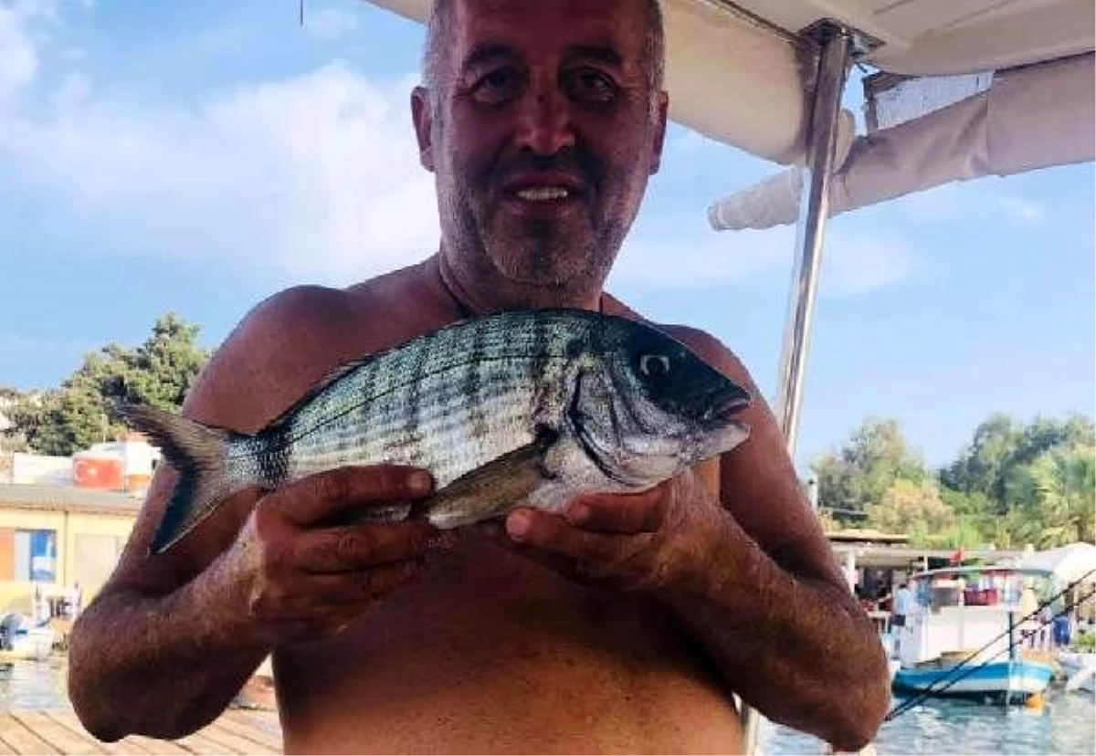Bodrum\'da amatör balıkçı, 6 kiloluk \'balon balığı\' yakaladı