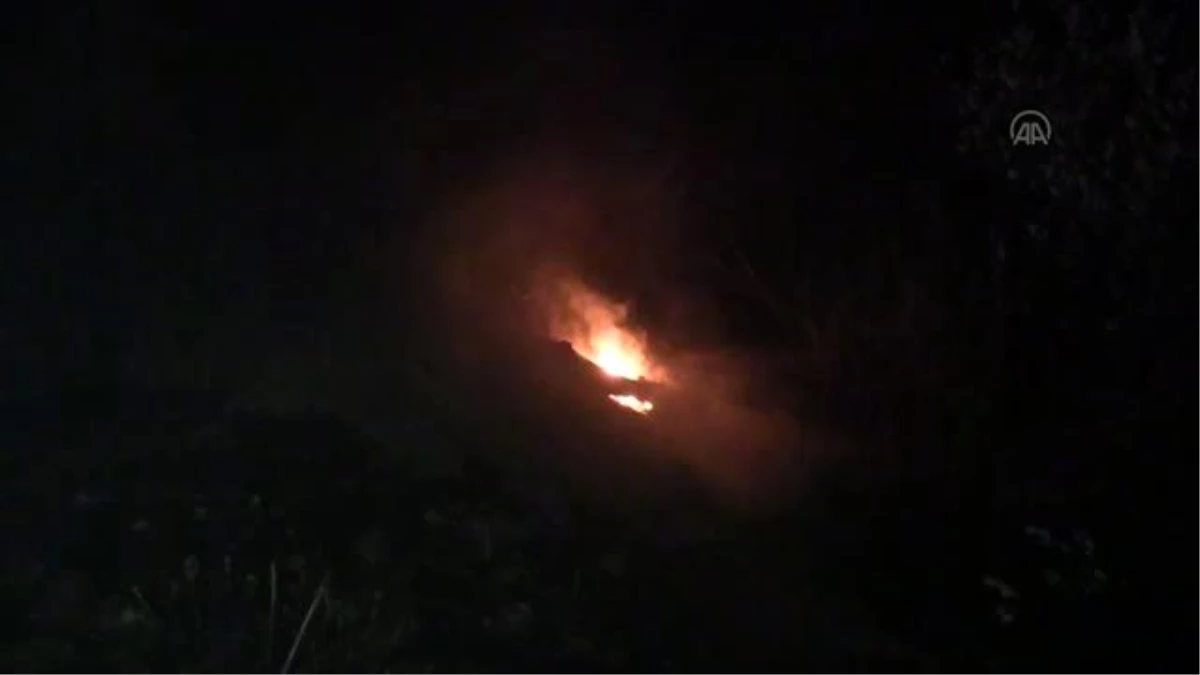 Kastamonu\'da orman yangını (2)