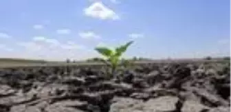 Kuraklık ve iklim şartları, üreticinin ekim dönemini değiştirdi