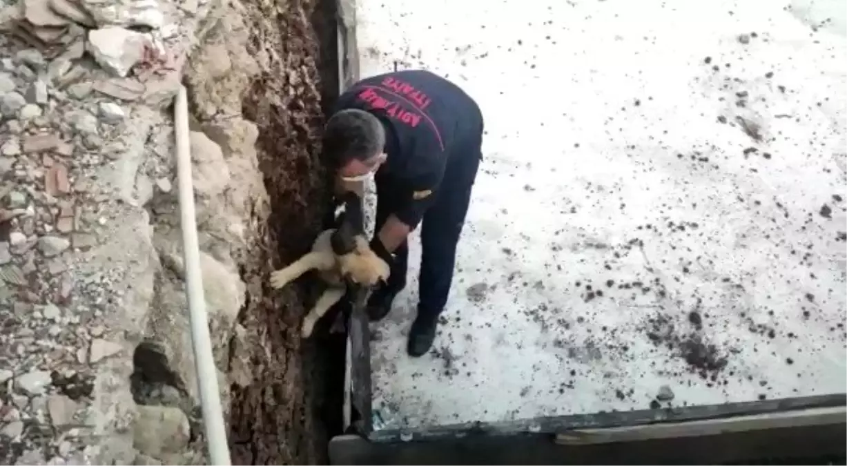 Temele sıkışan köpek kurtarıldı