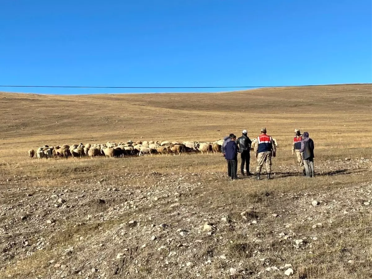 Son dakika haberi: Damal\'da kayıp hayvanlar drone ile bulundu