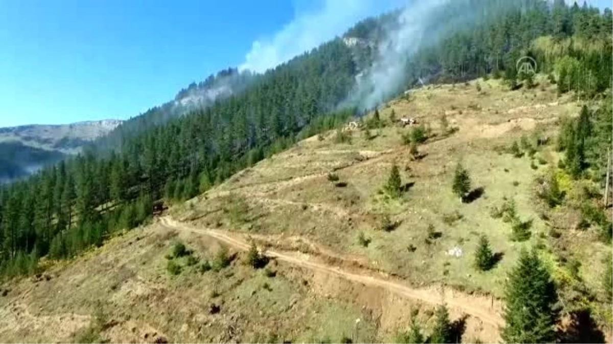 Kastamonu\'daki orman yangınları