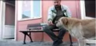 Köpeğe bisküvi uzatıp, 'Beni seviyorsan yersin' dedi
