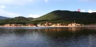 Tahtalı Yaylası bungalov evleri, göleti ve ormanıyla eşsiz bir manzara sunuyor