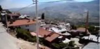 Tavan arasında kurutulan yeşil kuru üzüm benzersiz tadıyla ilgi görüyor