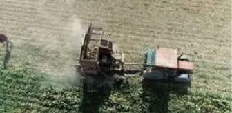 Aksaray'da pancar hasadı sürüyor