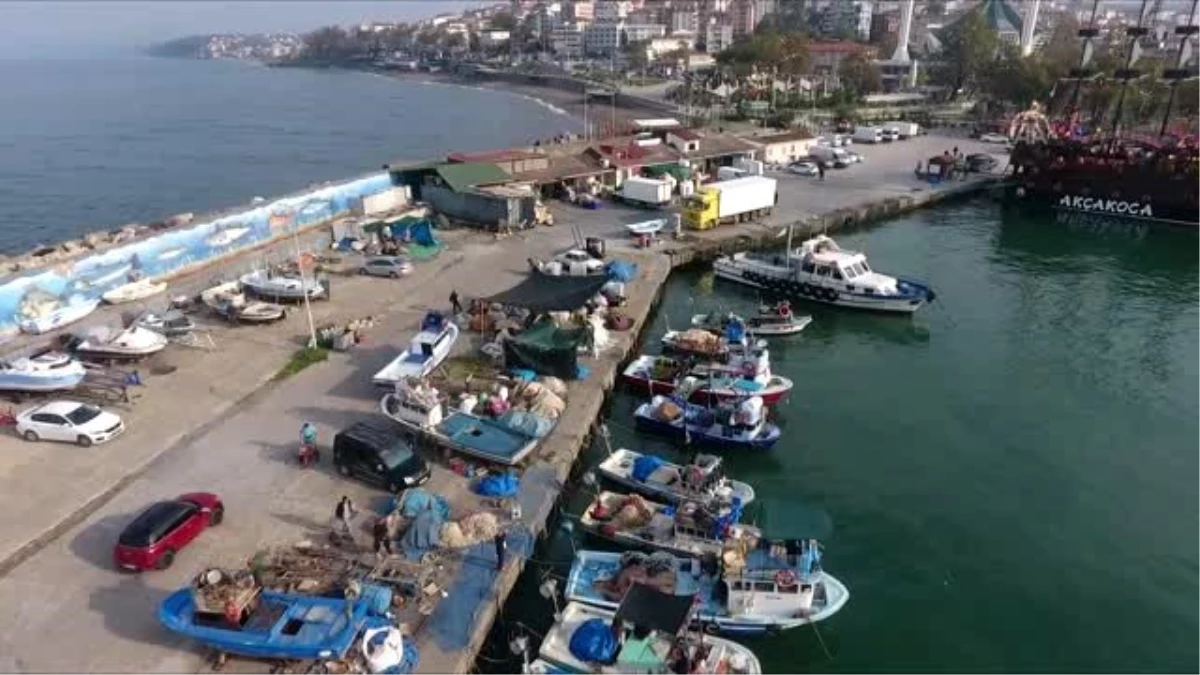Batı Karadenizli balıkçılar hamsiden umutlu - DÜZCE