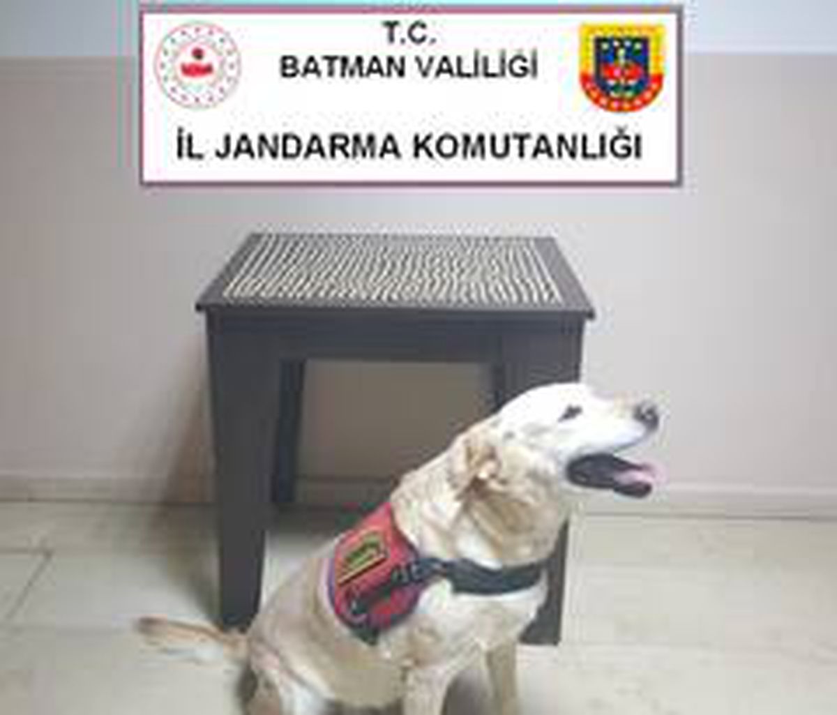 Batman\'da 840 adet uyuşturucu hap ele geçirildi