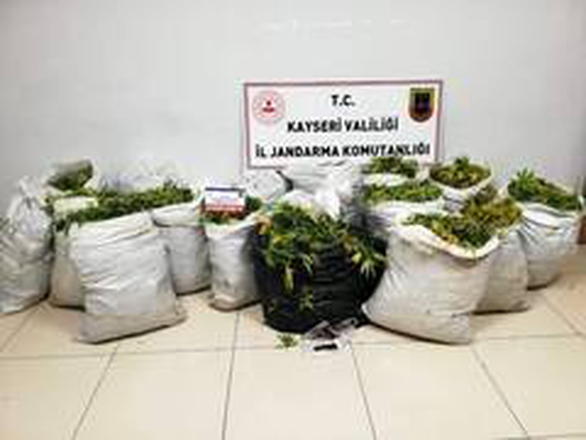 Jandarmadan uyuşturucu operasyonu: 160 kilo yaş kubar esrar ele geçirildi