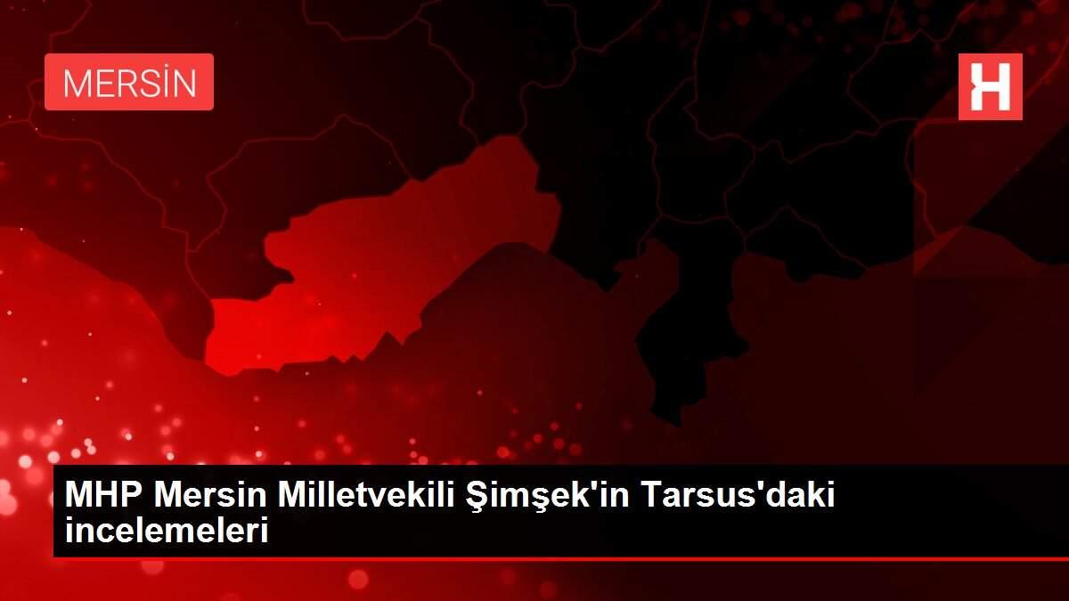 MHP Mersin Milletvekili Şimşek'in Tarsus'daki incelemeleri
