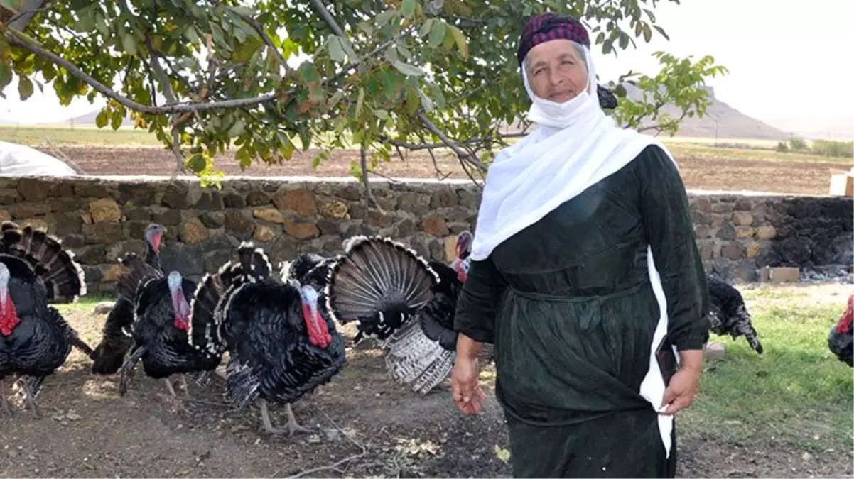 40 yıl önce gelin geldiği köye muhtar oldu, şimdiki hedefi ise belediye başkanlığı