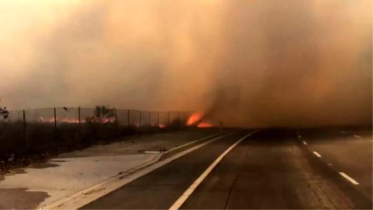 Son dakika haberleri: ABD\'de Los Angeles yakınlarındaki yangınlarda 100 bin kişi için tahliye kararı