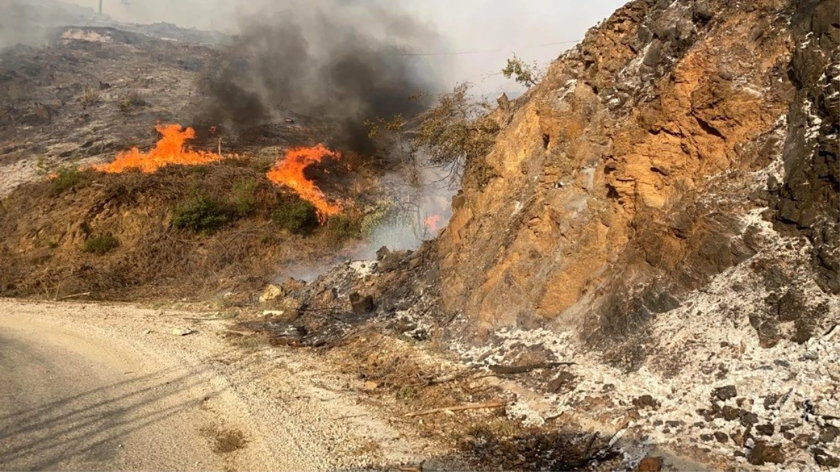 Son dakika: Adana\'daki orman yangınına müdahale sürüyor