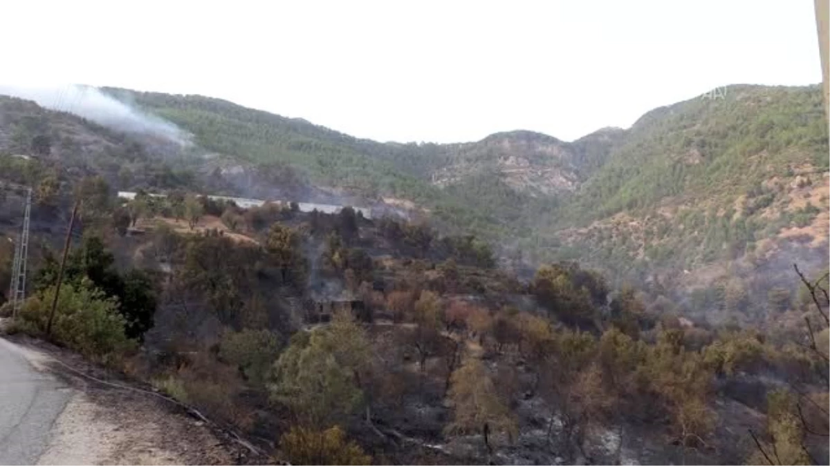 Anamur\'da çıkan orman yangınına müdahale ediliyor (10)