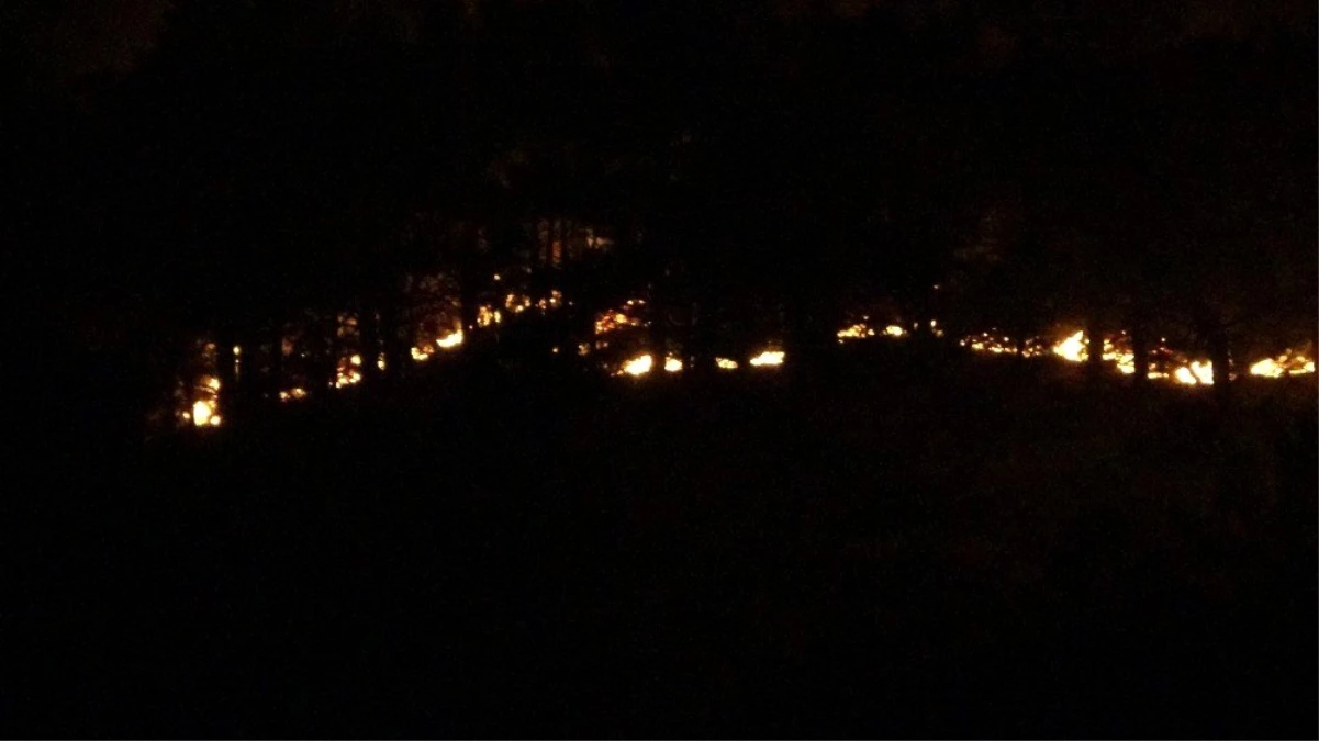 Son dakika haberi | Anamur\'da orman yangını devam ediyor