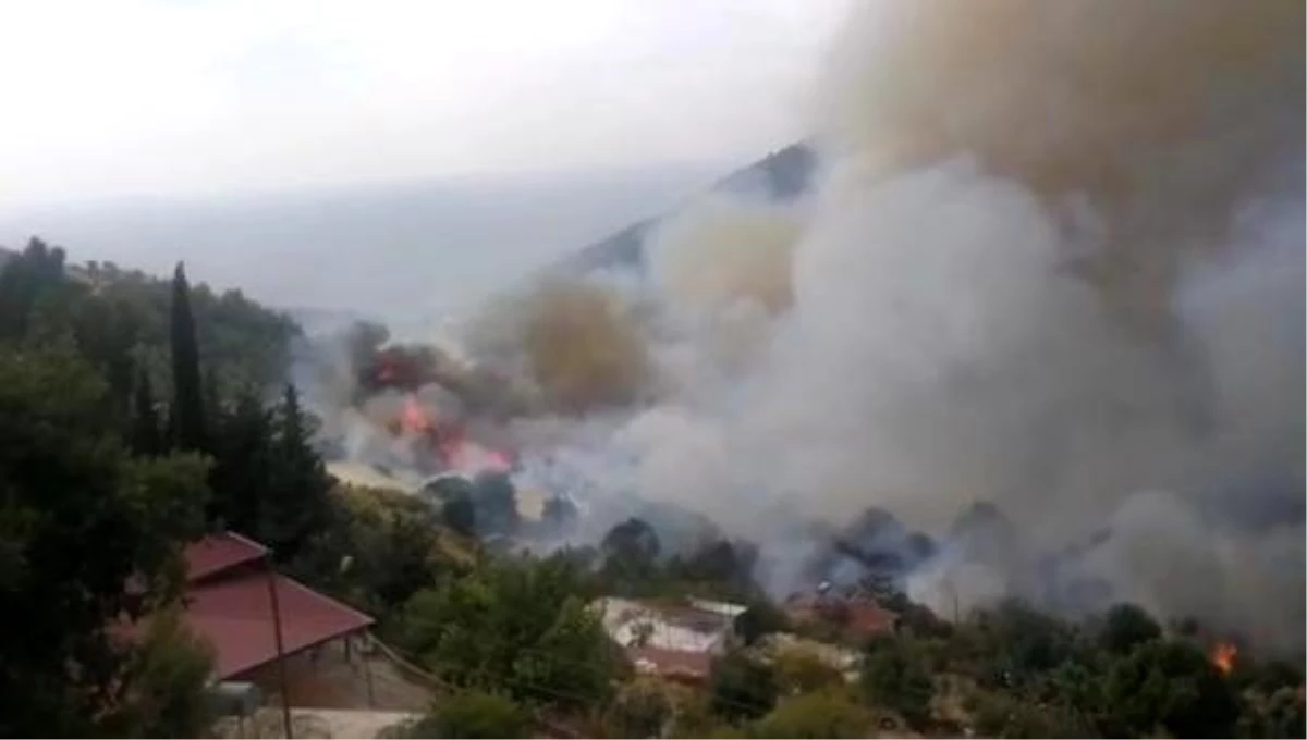 Anamur\'da yerleşim yeri yakınında orman yangını