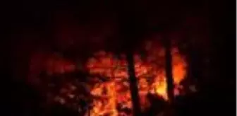 Anamur'da yangın bölgesinde kısa süreli yağmur