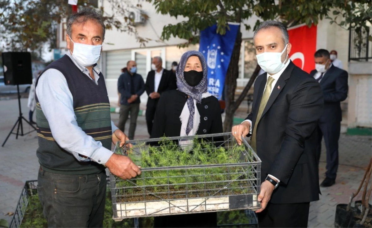 Bursa Büyükşehir\'den dağ yöresine nitelikli tarım desteği