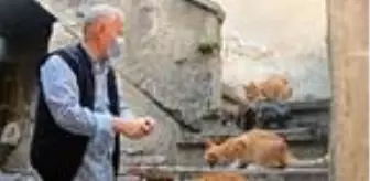 Emekli maaşıyla sokak kedilerine bakıyor