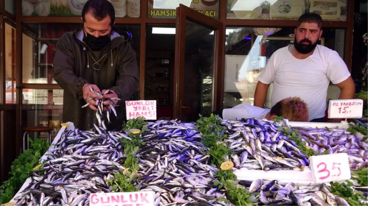 Karadeniz hamsisi tezgahlara inince fiyat 40 TL\'den 15 TL\'ye düştü